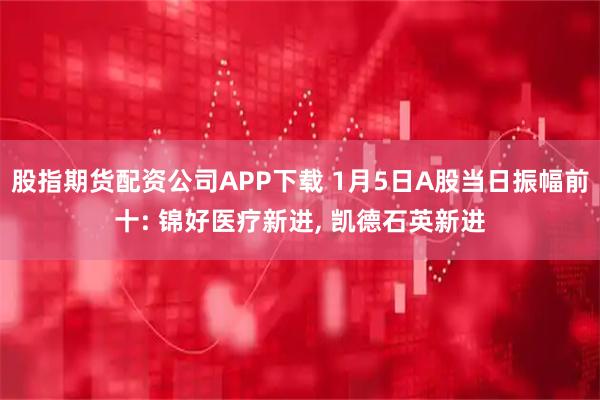 股指期货配资公司APP下载 1月5日A股当日振幅前十: 锦好医疗新进, 凯德石英新进