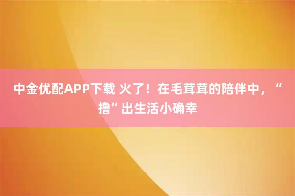 中金优配APP下载 火了！在毛茸茸的陪伴中，“撸”出生活小确幸