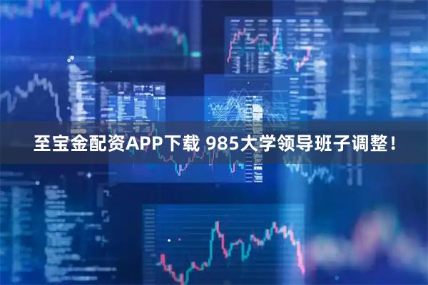 至宝金配资APP下载 985大学领导班子调整！
