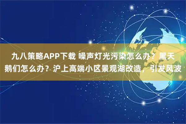 九八策略APP下载 噪声灯光污染怎么办？黑天鹅们怎么办？沪上高端小区景观湖改造，引发风波